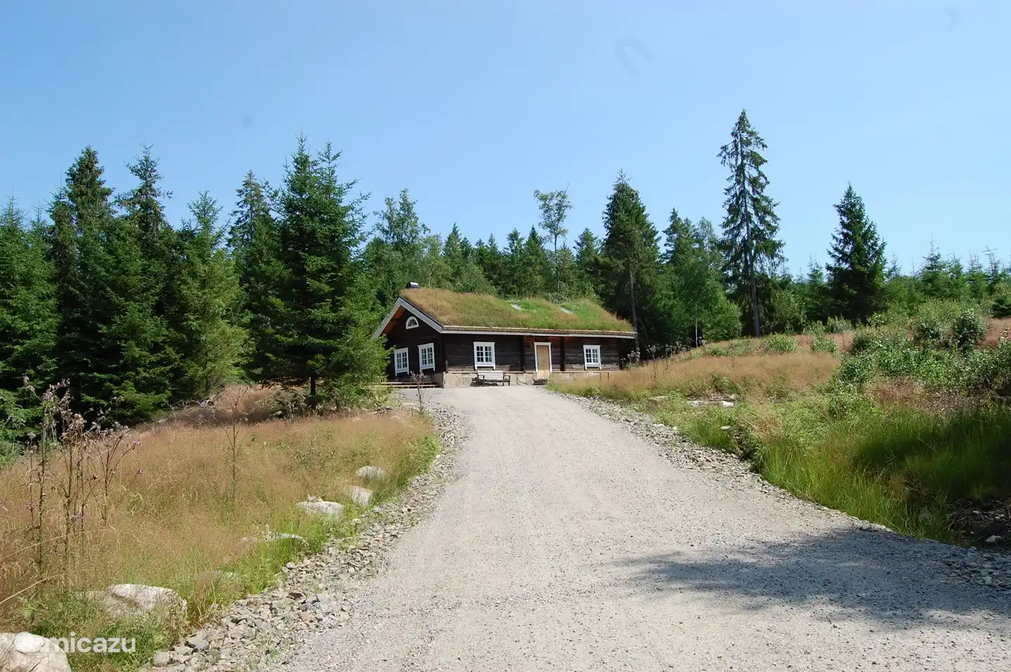 Latitude with environment