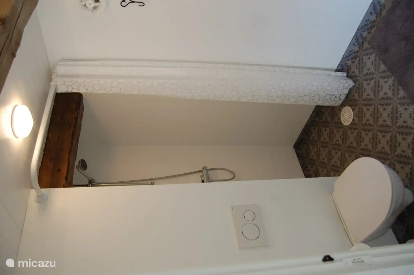 shower and toilet in the bathroom