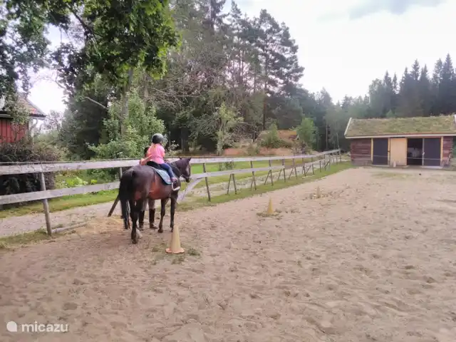 Latitude | Suède, Västergötland, Torestorp - cabane en bois / lodge le manège avec notre poney Mexxy