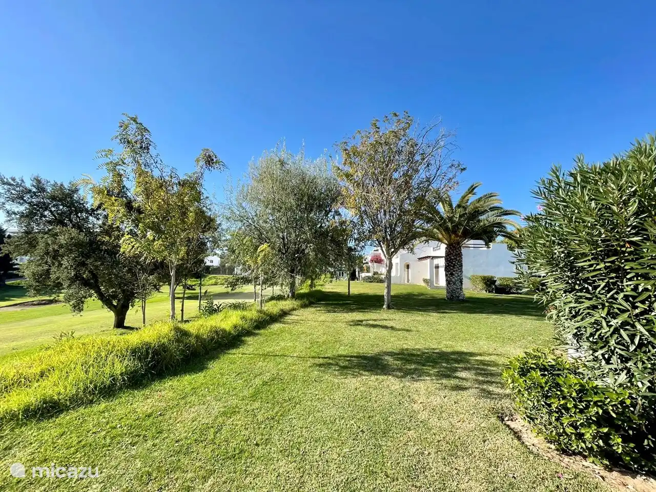 Vista desde la terraza a la derecha, mucha vegetación y privacidad.