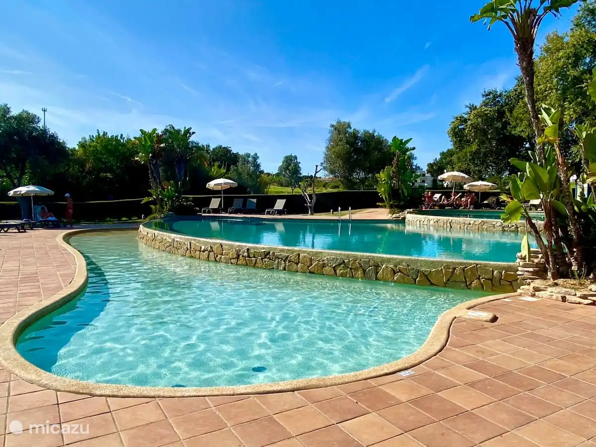 Piscina en el complejo