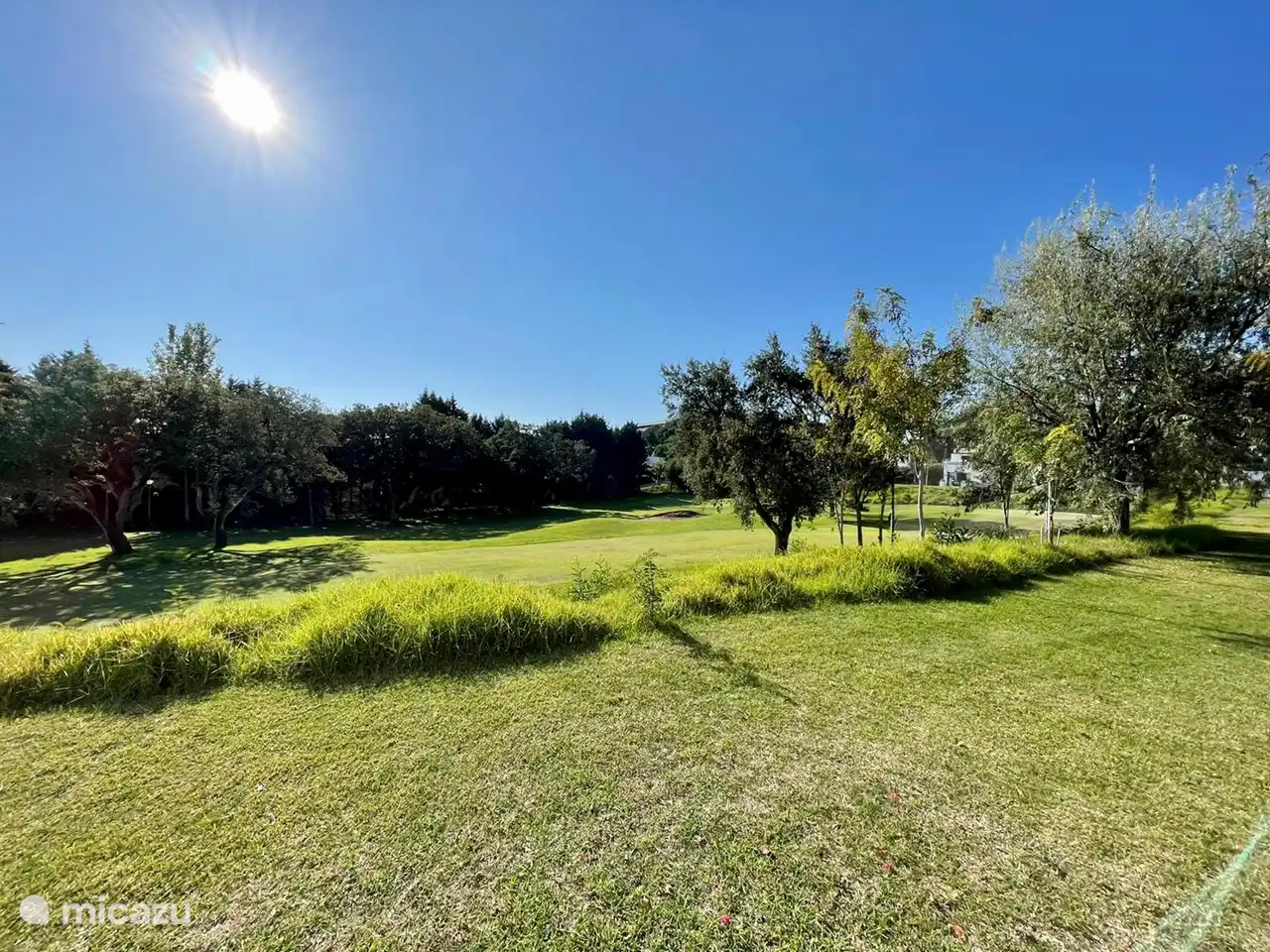 Vista desde la terraza, que se encuentra en el sur.