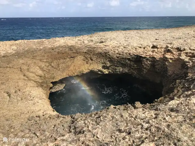Villa confortable avec piscine privée | Curaçao, Banda Ariba (est), Seru Bottelier - villa Watamula