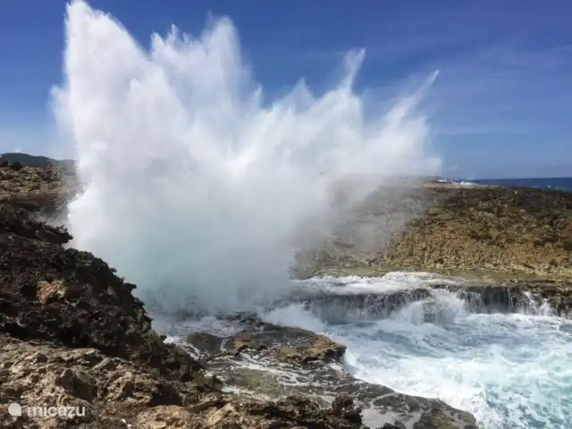 Villa confortable avec piscine privée | Curaçao, Banda Ariba (est), Seru Bottelier - villa Parc national de Sheta Boka.