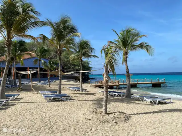 Villa confortable avec piscine privée | Curaçao, Banda Ariba (est), Seru Bottelier - villa Des palmiers, des plages de sable blanc, une mer bleu azur et une température agréable. A bientôt sur Curaçao !