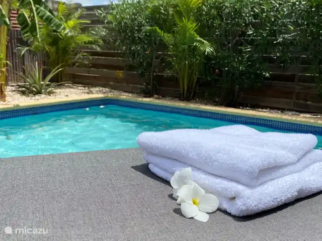 Villa confortable avec piscine privée | Curaçao, Banda Ariba (est), Seru Bottelier - villa Piscine privée.