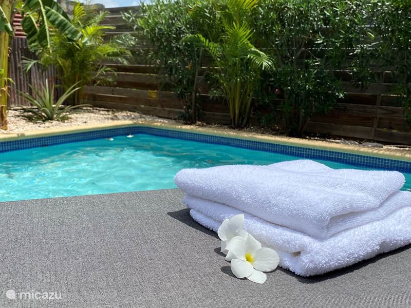 Maison de Vacances Curaçao, Banda Ariba (est), Seru Bottelier Villa Villa confortable avec piscine privée