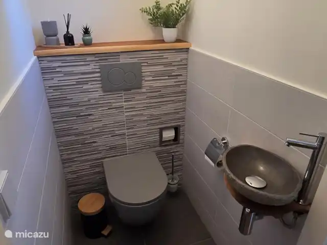 Rust en plezier voor jong en oud huren in Nederland, Gelderland, Ewijk - vakantiehuis nieuw toilet gerealiseerd zomer 2025