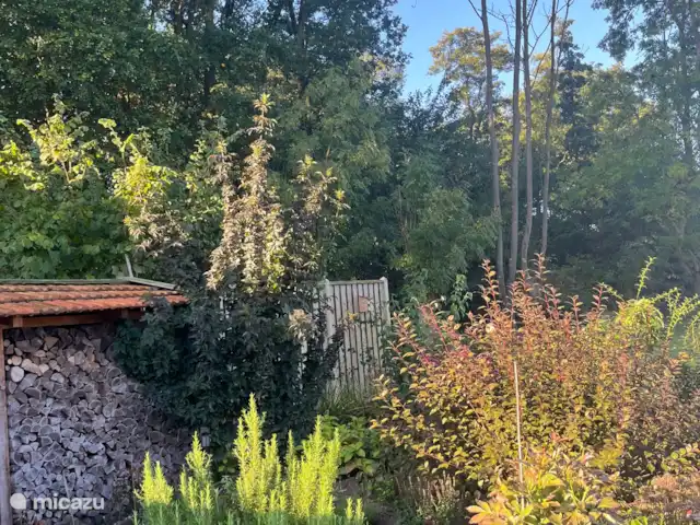 Rust en plezier voor jong en oud huren in Nederland, Gelderland, Ewijk - vakantiehuis … tuin in herfstkleuren