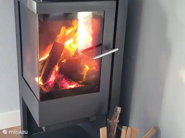 Rust en plezier voor jong en oud huren in Nederland, Gelderland, Ewijk - vakantiehuis Wat zijn we blij met onze open haard, gezamenlijk spelltjes doen aan de grote tafel terwijl de haard brand.