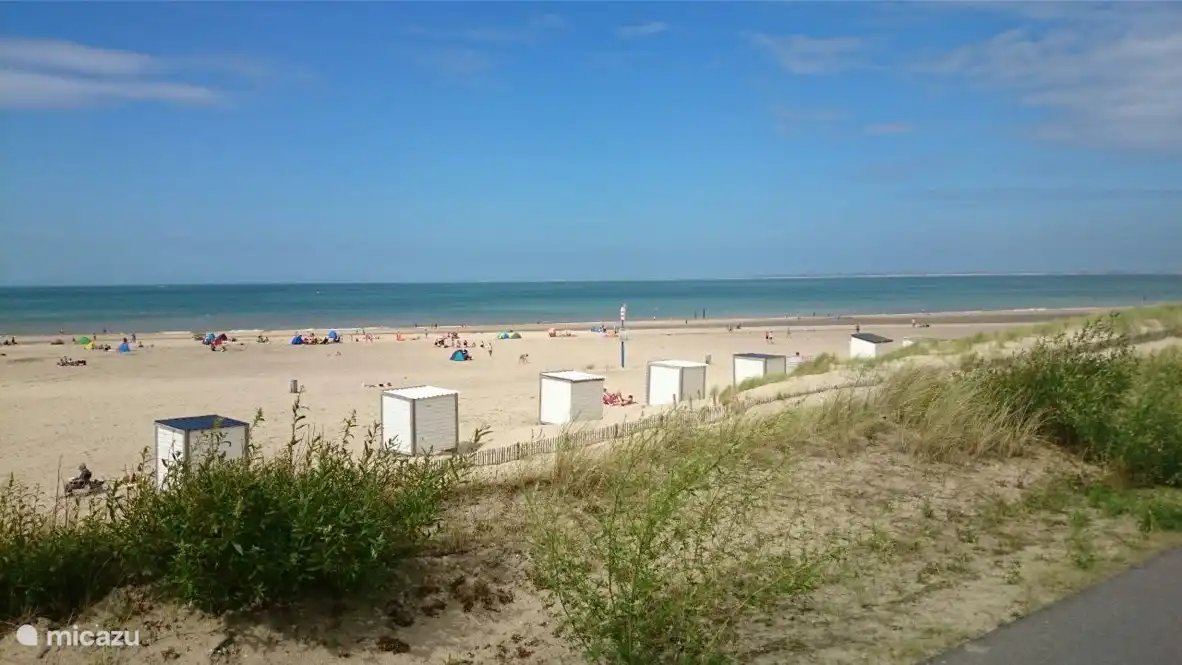 Playa Nieuwvliet
