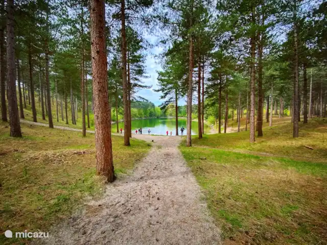 'De Garnaal' de Zuidhoek 1 | Pays-Bas, Zélande, Renesse - bungalow Foresterie Westerschouwen