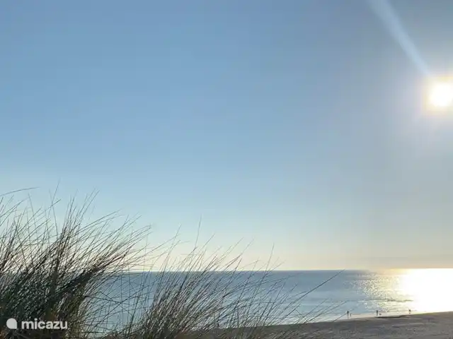 'De Garnaal' de Zuidhoek 1 | Pays-Bas, Zélande, Renesse - bungalow Les plus belles plages de sable venez en profiter !