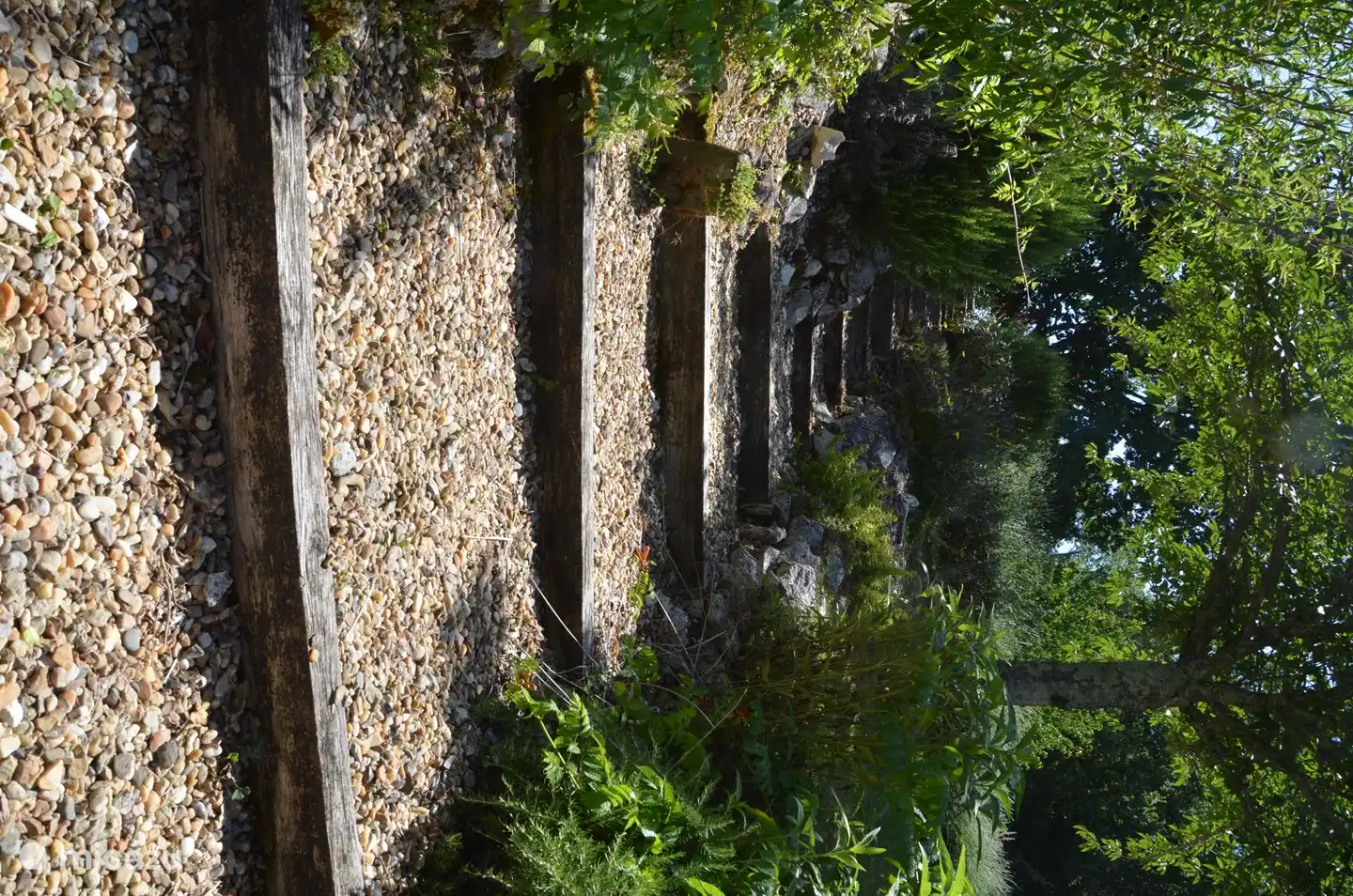 Frische Kräuter aus dem Garten