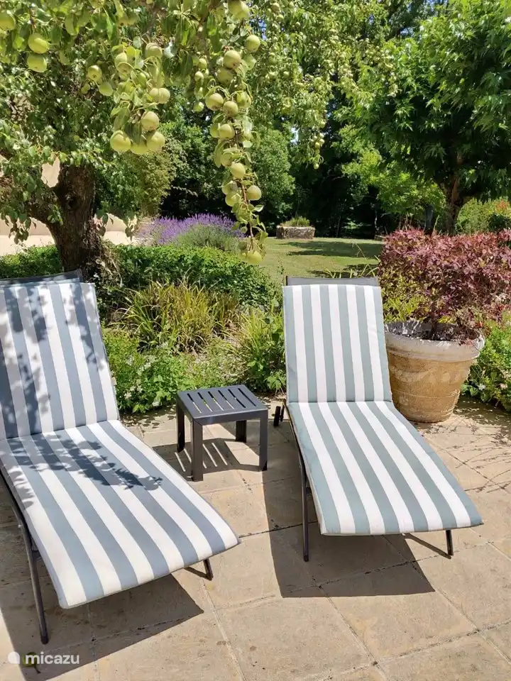 Mehrere Sonnenliegen stehen zur Verfügung