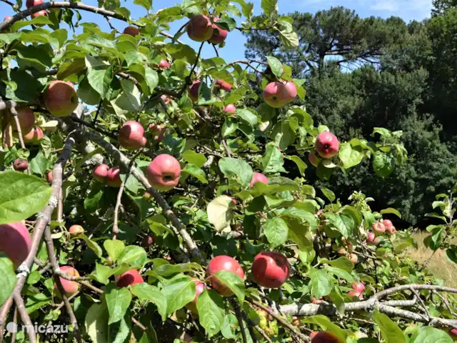 Peymassou | France, Dordogne, Port-Sainte-Foy-et-Ponchapt - villa Pommes du jardin