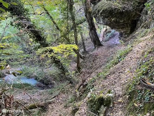 Peymassou | France, Dordogne, Port-Sainte-Foy-et-Ponchapt - villa Quelque part dans le jardin