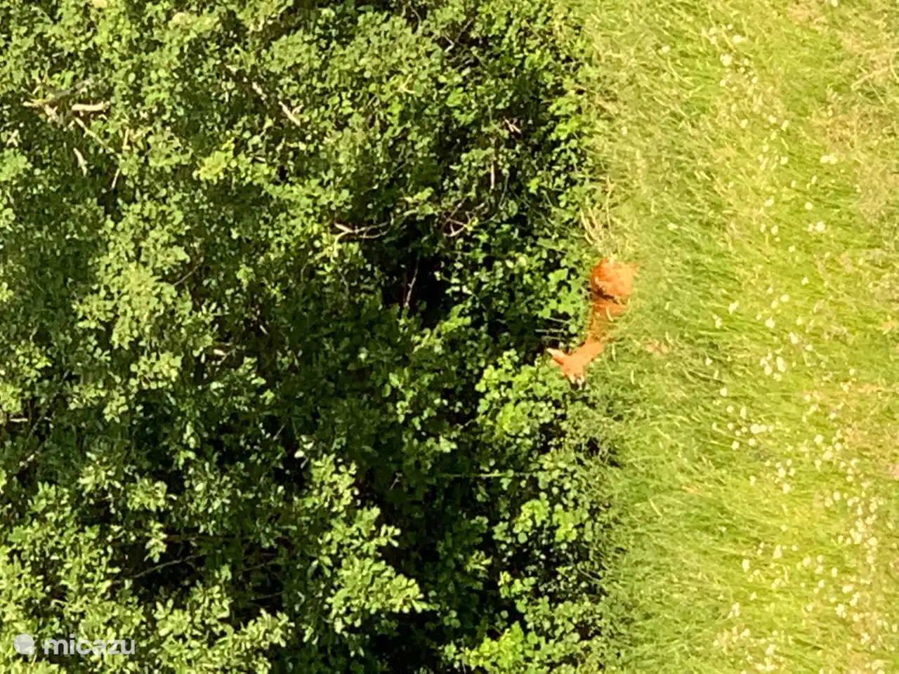 Das zeigt sich gelegentlich