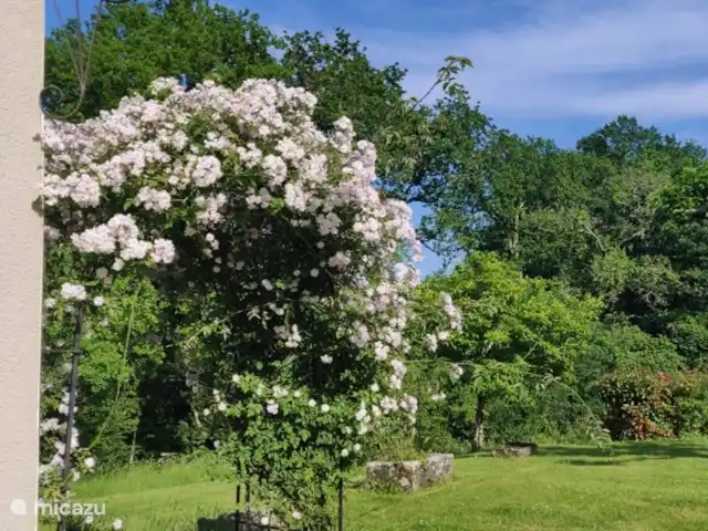 Peymassou | France, Dordogne, Port-Sainte-Foy-et-Ponchapt - villa Haie de roses