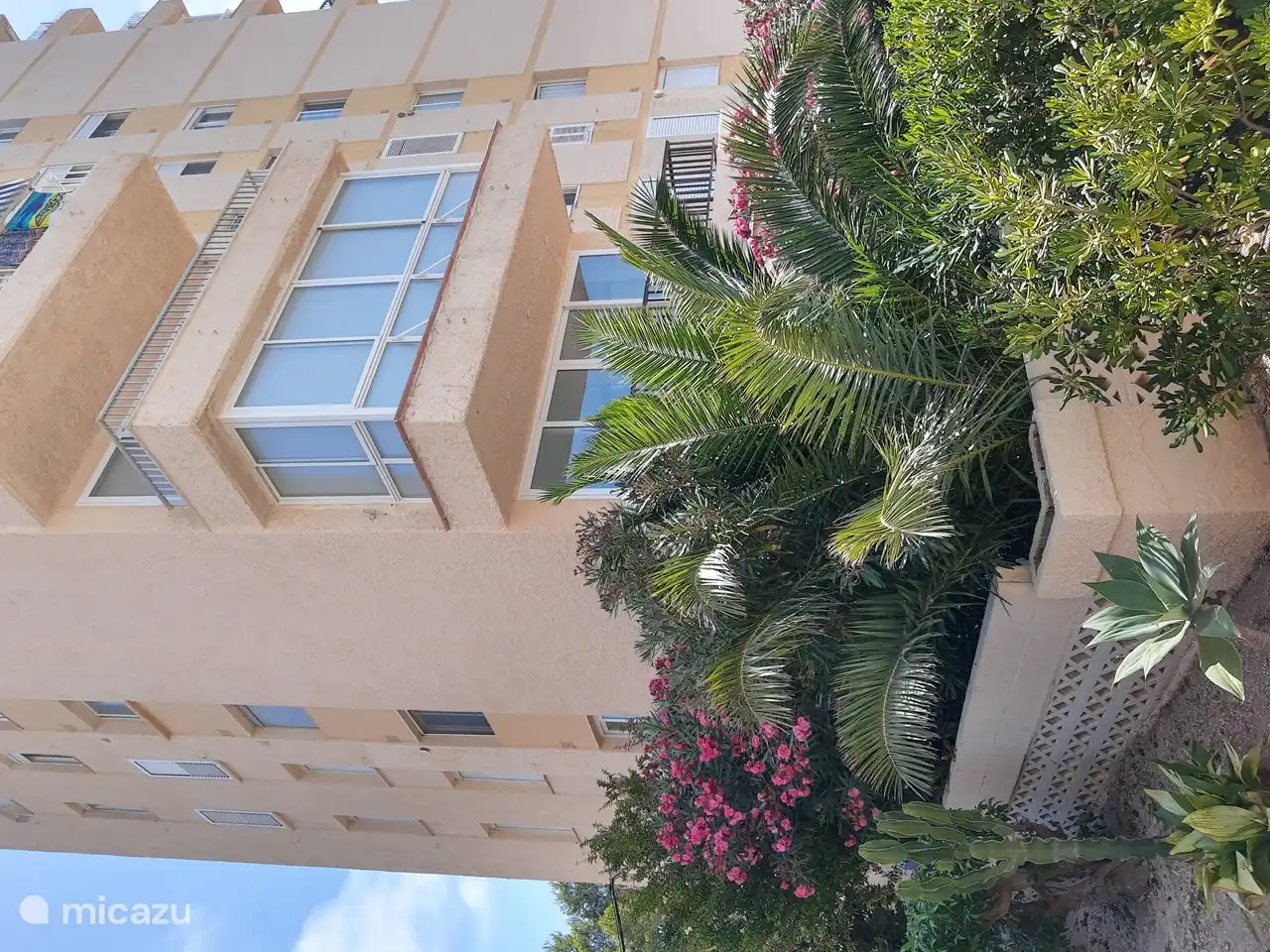 Appartement derrière le palmier au 1er étage avec un balcon ouvert (garde-corps marron)