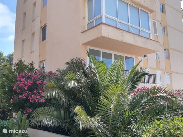 Ca Mili en España, Costa Blanca, Moraira - apartamento Apartamento detrás de la palmera en el 1er piso con balcón abierto (baranda marrón)