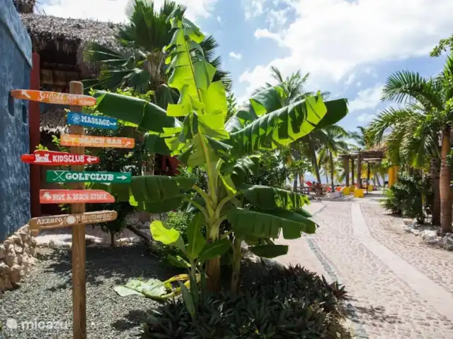 Location de Vacances Curaçao, Curaçao-Centre, Blue Bay, villa - Villa de luxe à 200 mètres de la plage La plage