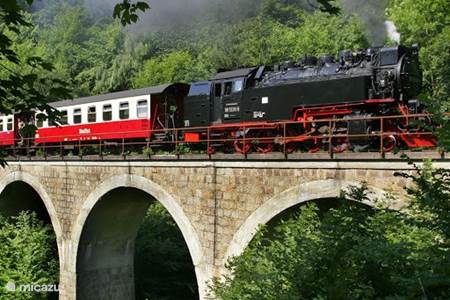 Harzer Smalspurbahn- Steam Train tracks