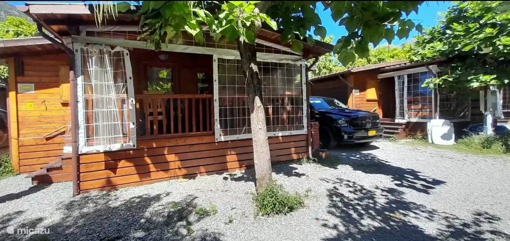 plaza de aparcamiento, árbol con sombra