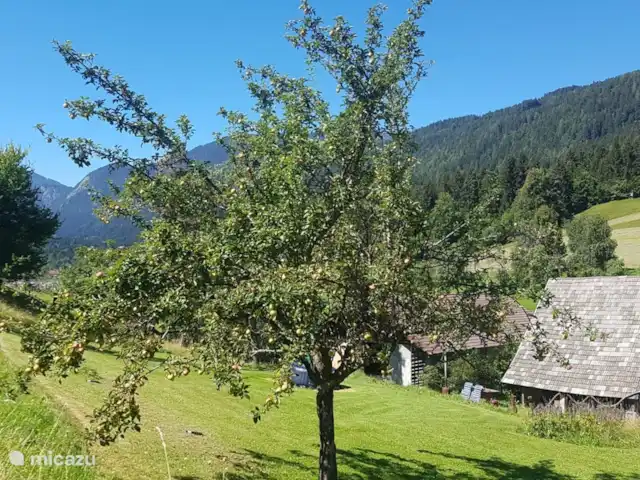 Haus Tilia Karinthië / App Berglust huren in Oostenrijk, Karinthië, Kerschdorf/Nötsch - appartement een van de appelbomen