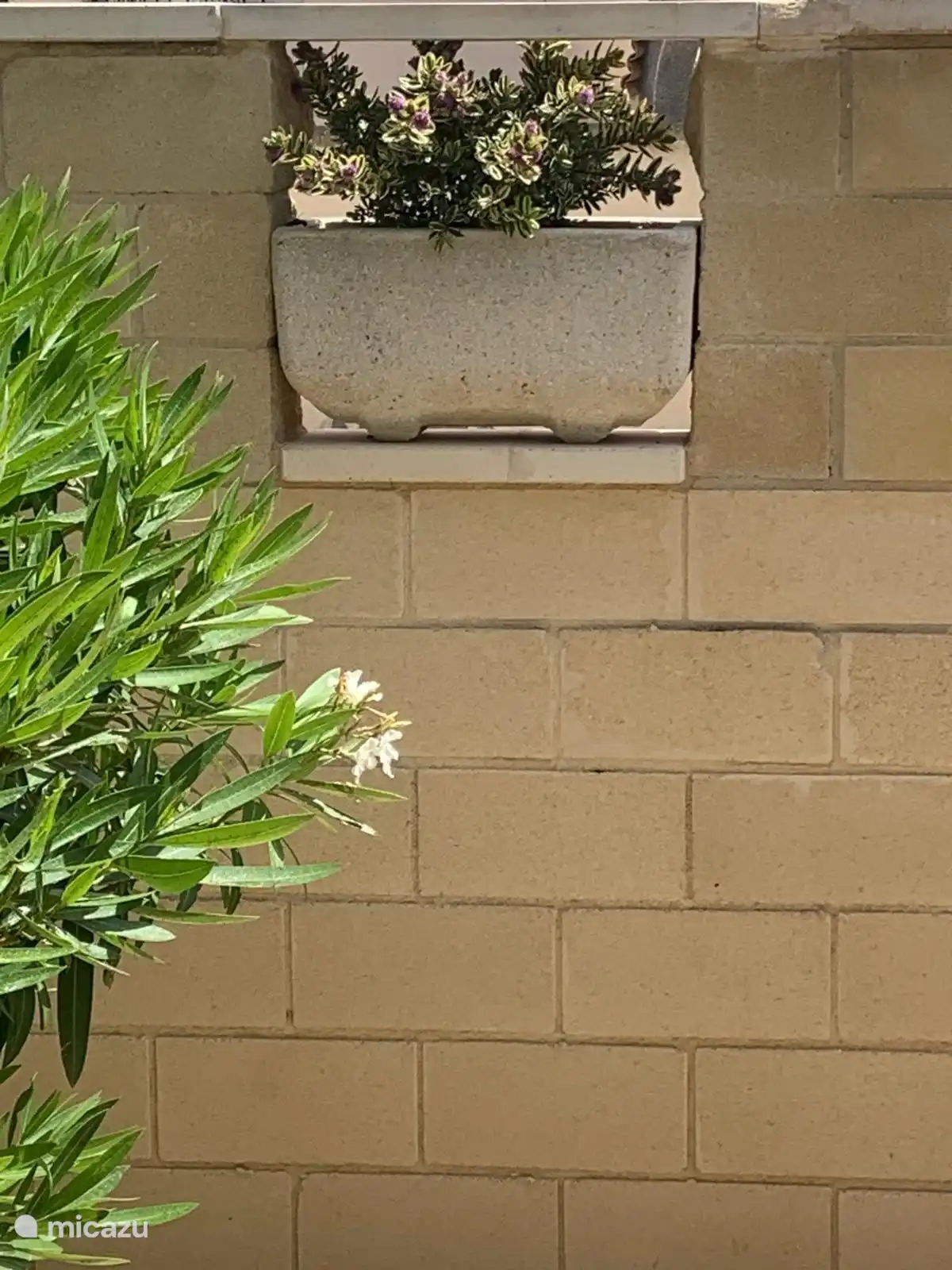  pared exterior con jardineras 