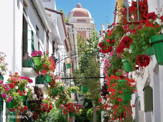 Lujo 4/6 pers. Ap/Puerto Alto en España, Costa del Sol, Estepona - apartamento EL CENTRO ANTIGUO