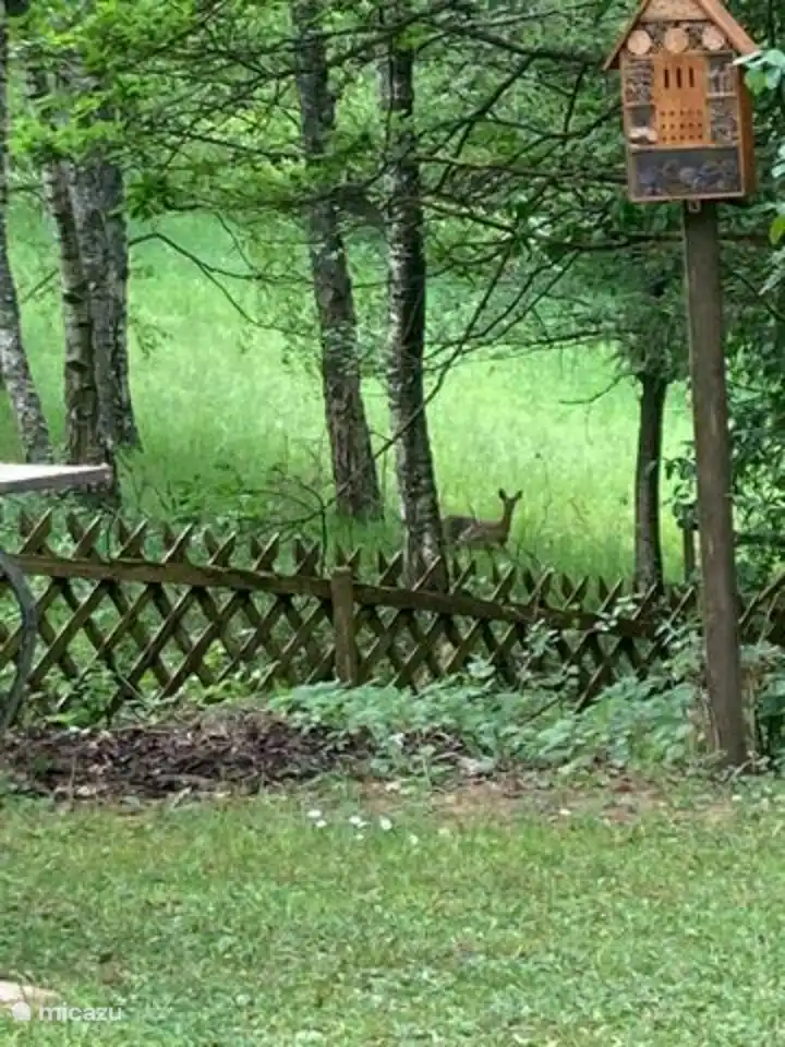 Parfois nous recevons des visiteurs