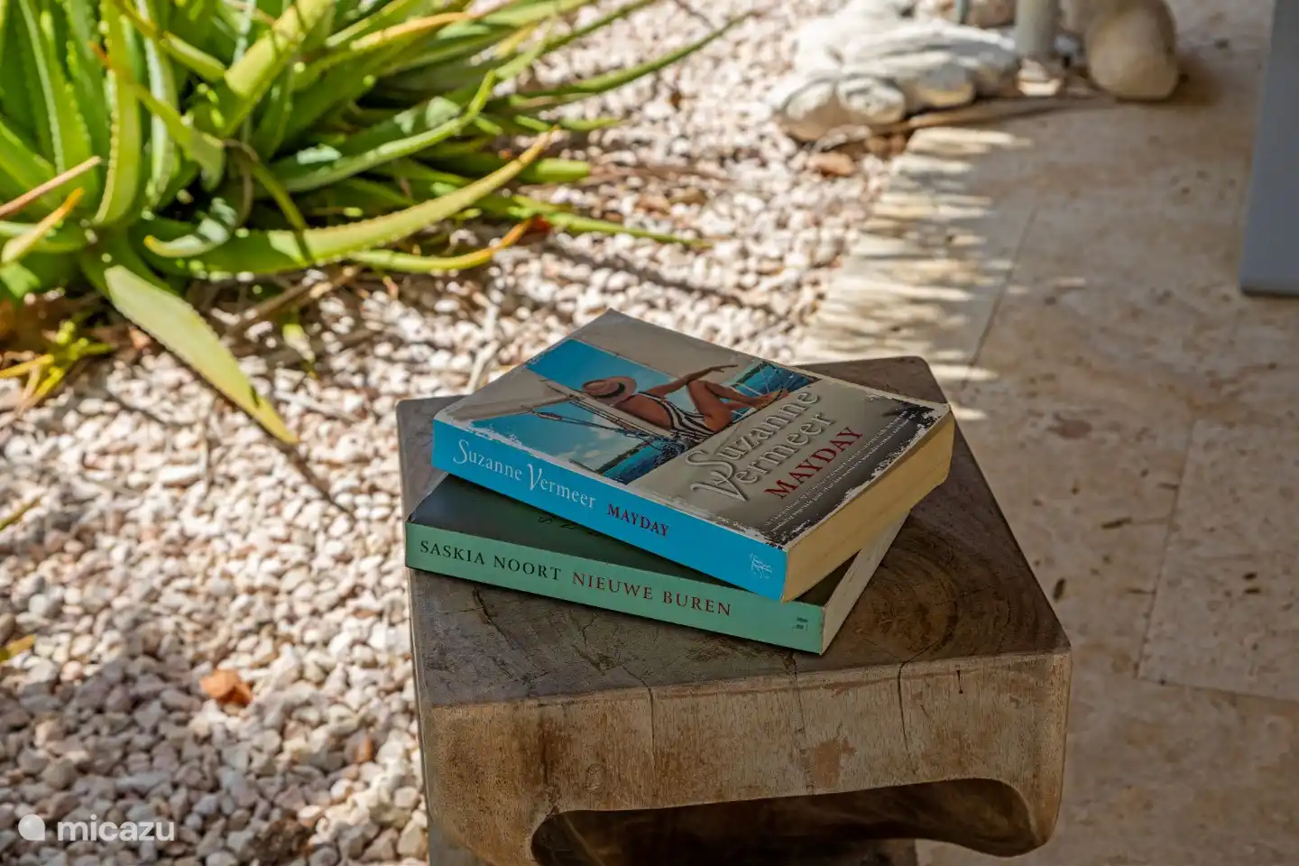 Libros de lectura disponibles