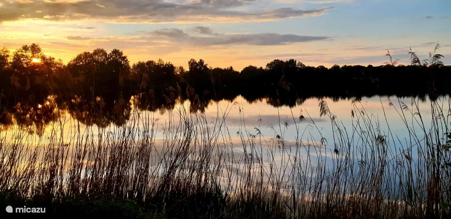 Die untergehende Sonne bei einem Spaziergang um den See
