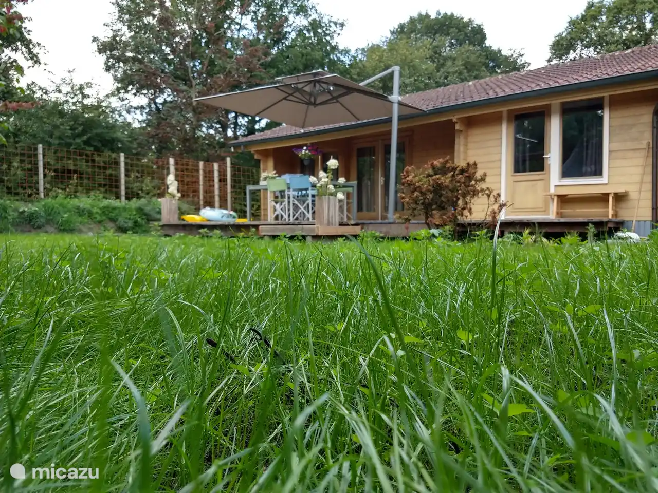 In der Kräuterwand wachsen verschiedene Kräuter wie Minze, Rosmarin, Dill und Majoran