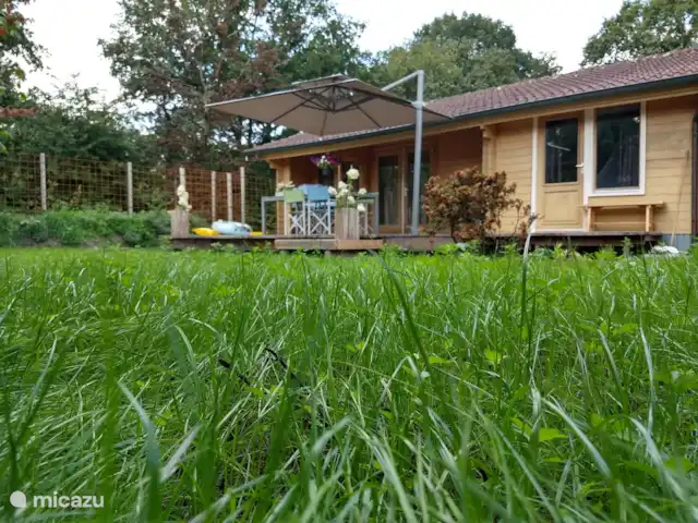 La cabane en rondins | Pays-Bas, Gueldre, Eibergen - cabane en bois / lodge Diverses herbes telles que la menthe, le romarin, l'aneth et la marjolaine poussent dans le mur d'herbes