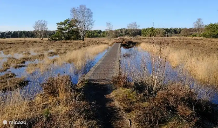 Der Buurserzand ist ein schönes und abwechslungsreiches Heidegebiet mit verschiedenen Rad- und Wanderwegen