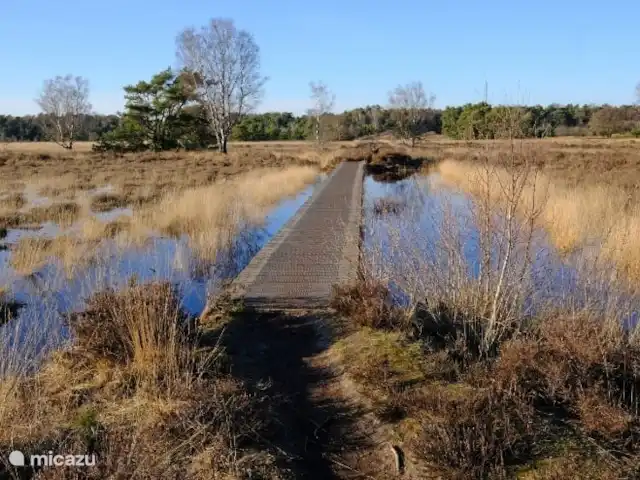 La cabane en rondins | Pays-Bas, Gueldre, Eibergen - cabane en bois / lodge Le Buurserzand est une région de landes ouverte belle et variée avec divers itinéraires cyclables et pédestres
