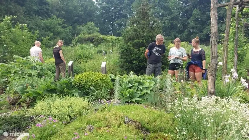 Neben der Mallemser Mühle befindet sich der Kruidenhof, ein wunderschöner Garten mit Hunderten von Kräutern und einem wunderschönen Speisewald.
