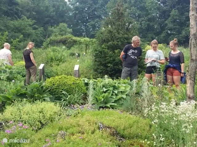 La cabane en rondins | Pays-Bas, Gueldre, Eibergen - cabane en bois / lodge À côté du moulin Mallumse, vous trouverez le Kruidenhof, un beau jardin avec des centaines d'herbes et une belle forêt alimentaire.