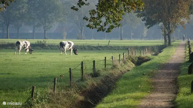 Ein absolutes Muss ist der Radweg Kerkepaden. Der 21km lange Beltrumer Kirchenweg hat drei Hauptrouten, die einzeln oder nacheinander befahren werden können. Sie können die Route 3 Kilometer vom Blokhut entfernt abholen und diese Radwege durch Wiesen und Wälder genießen
