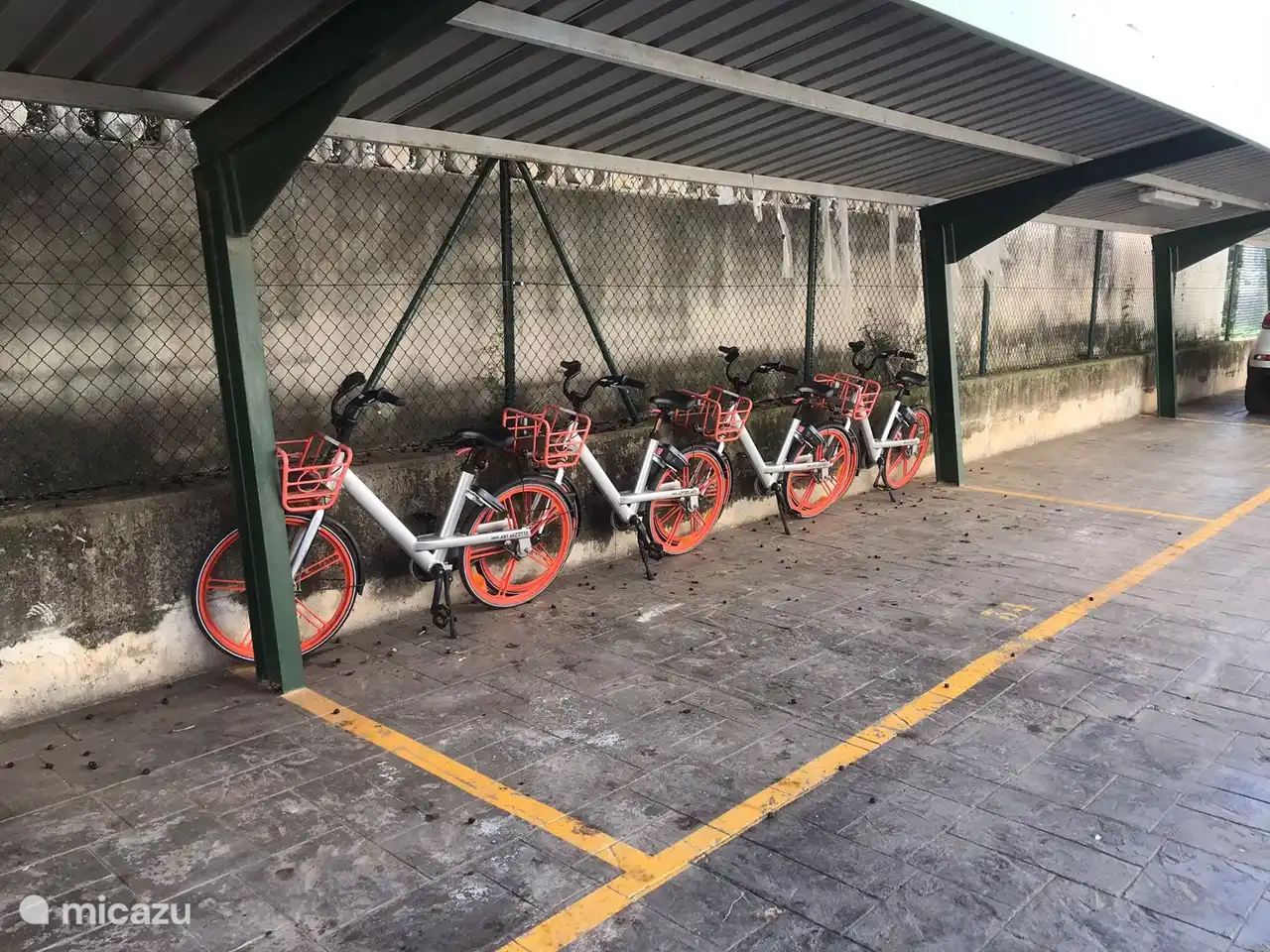 Fietsen van de eigenaars die ter plaatse te huur zijn.