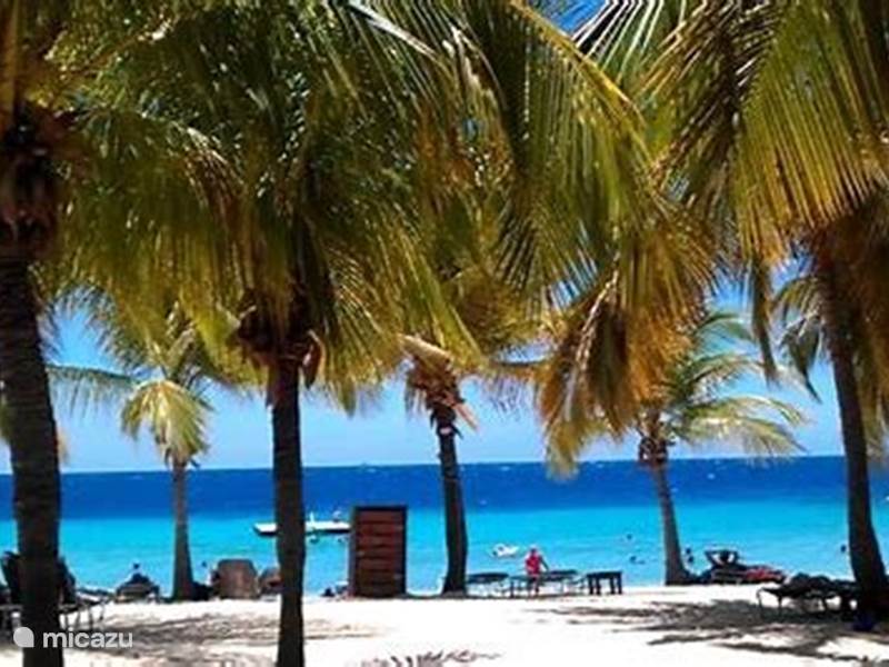 Ferienwohnung Curaçao, Curacao-Mitte, Blue Bay Villa Villa BlueBay 'LaPrimera'