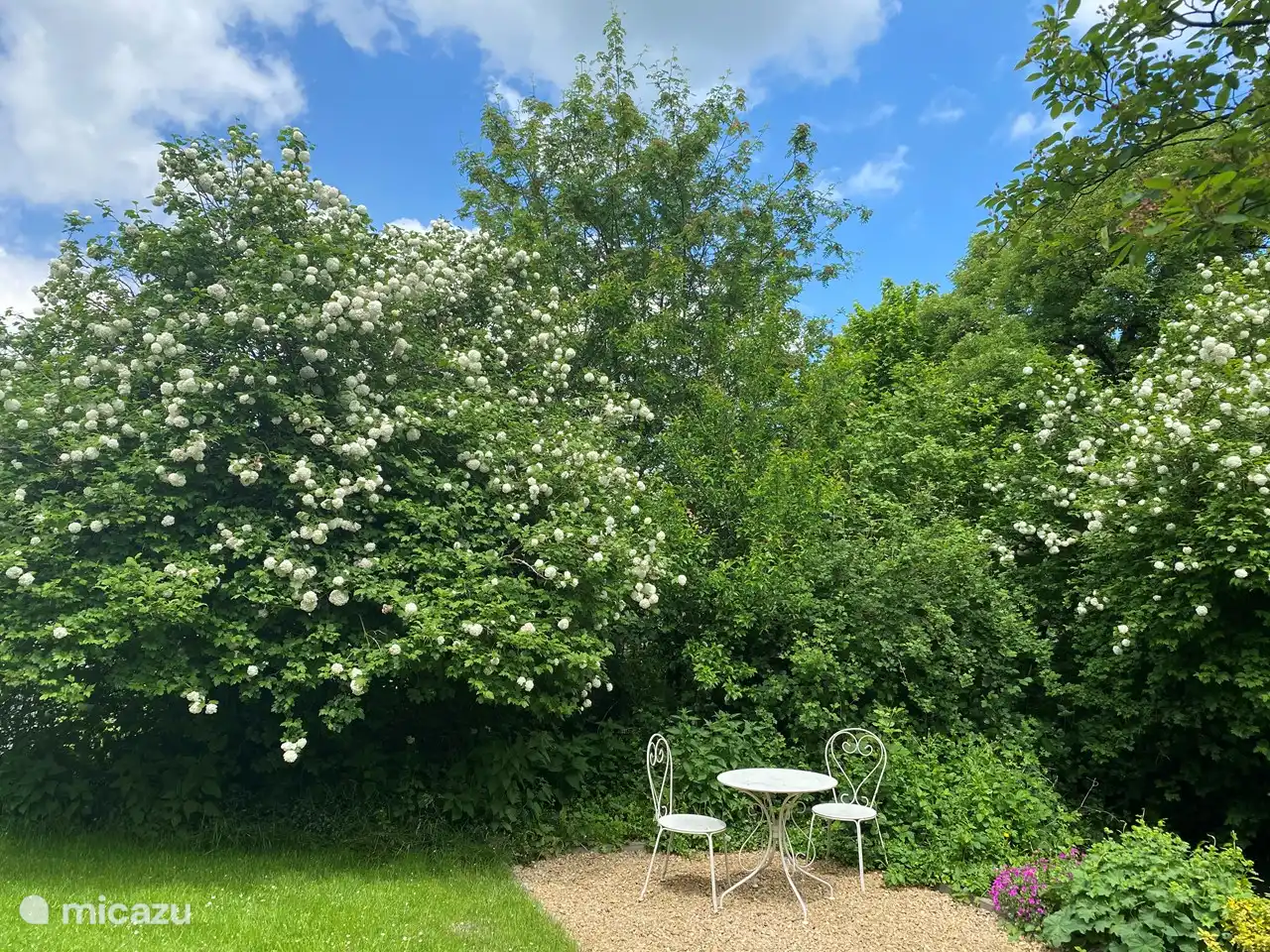 Coin cosy dans le jardin