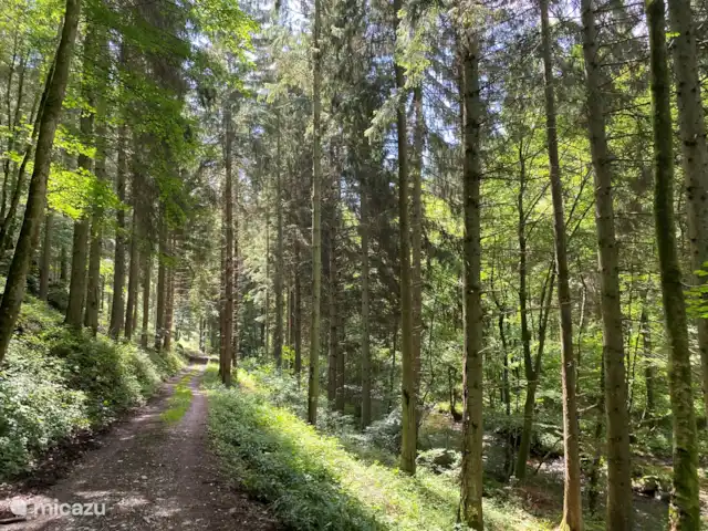 La Riennaise | Belgique, Ardennes, Gedinne - maison de vacances Il y a aussi plusieurs pistes de VTT qui passent devant la maison et traversent principalement la forêt