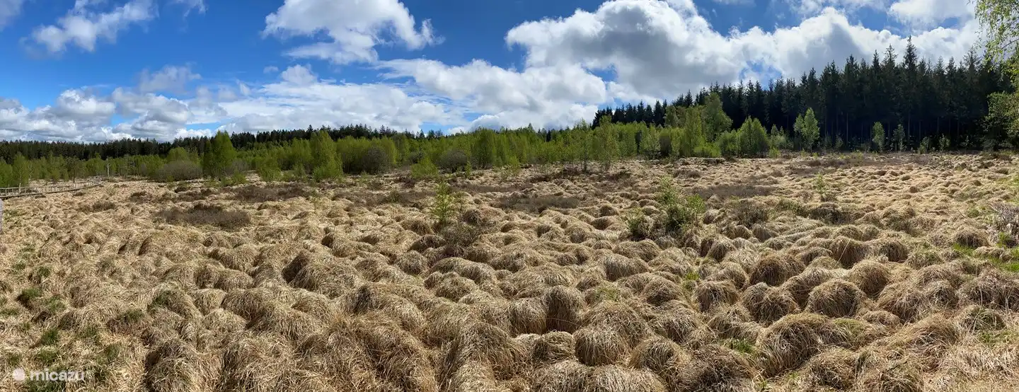 Balade des Fanges de l'abime près de la Tour du Millénaire