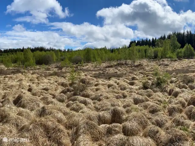 La Riennaise | Belgique, Ardennes, Gedinne - maison de vacances Balade des Fanges de l'abime près de la Tour du Millénaire