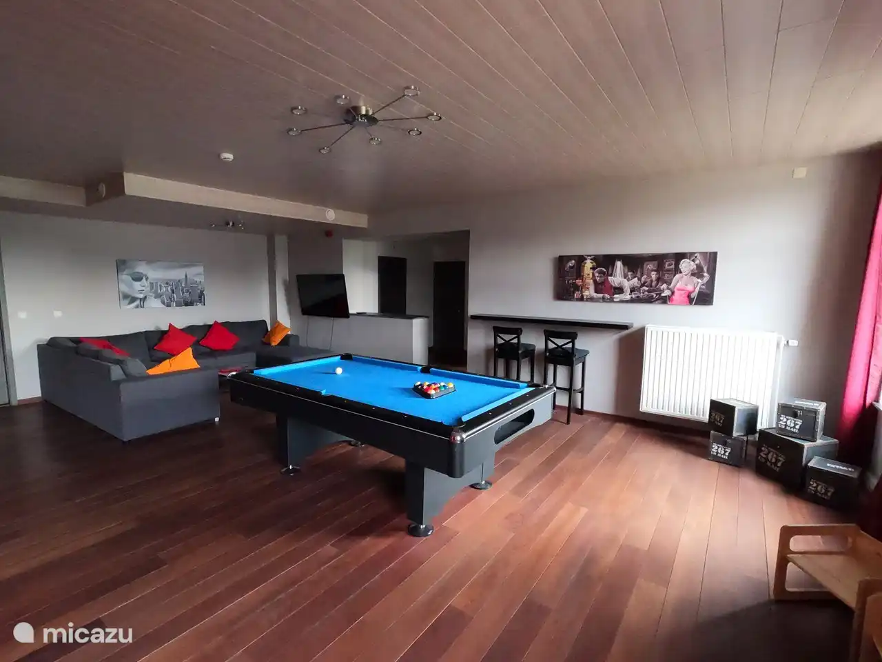 En plus d'un canapé d'angle et d'une télévision, vous y trouverez également un billard, un baby-foot et des fléchettes électroniques.