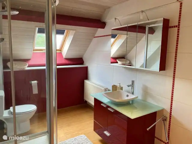 La Riennaise | Belgique, Ardennes, Gedinne - maison de vacances Salle de bain de la chambre 5