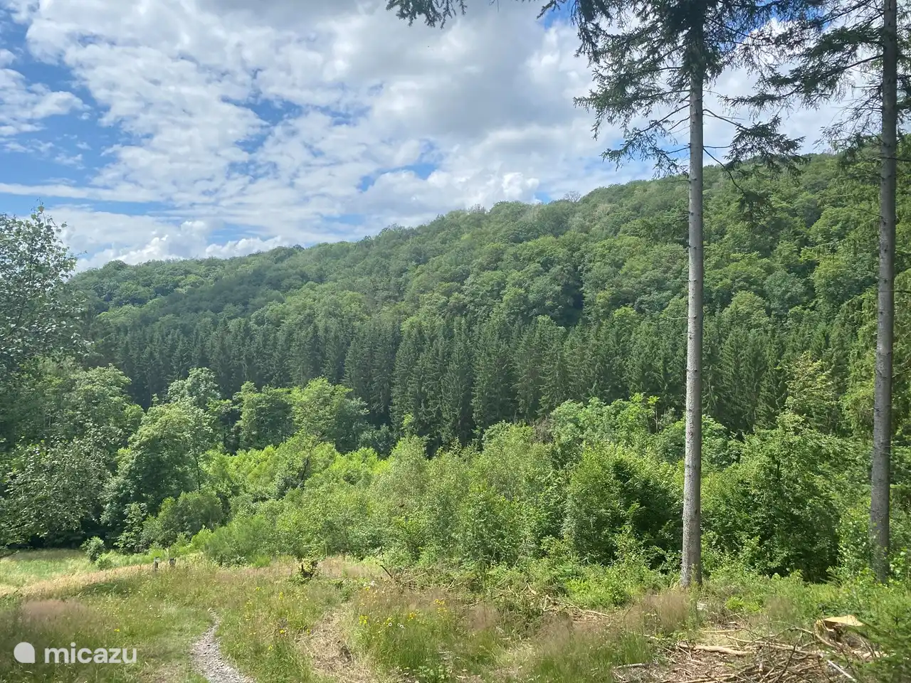 Au cours des promenades, vous tombez régulièrement sur de belles vues